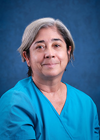 dmorales